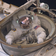 Image for article titled Head to Space as NASA's Newest Astronaut